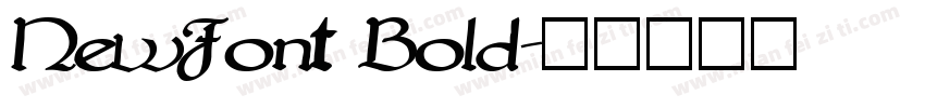NewFont Bold字体转换